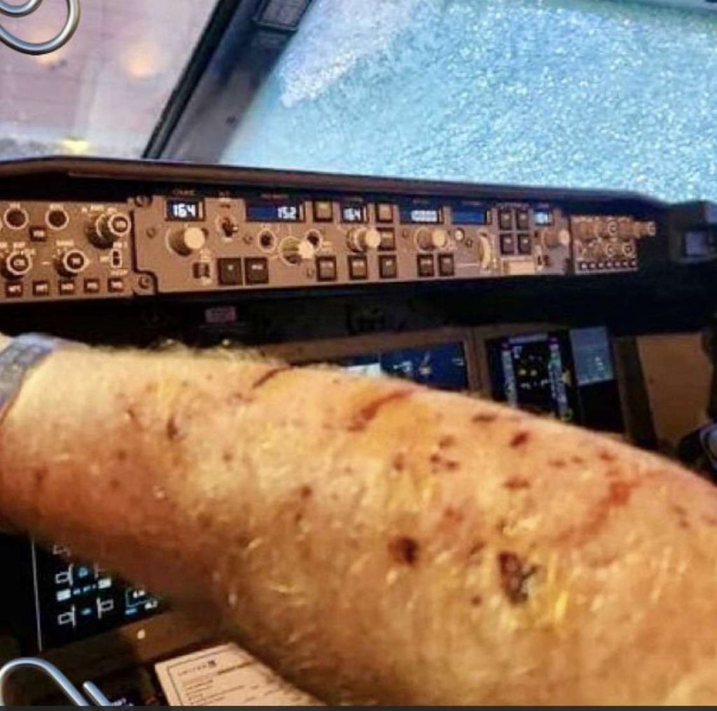 airliner-hit-by-possible-space-debris