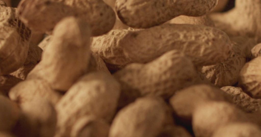 60k-kids-have-avoided-peanut-allergies-due-to-2015-advice,-study-finds