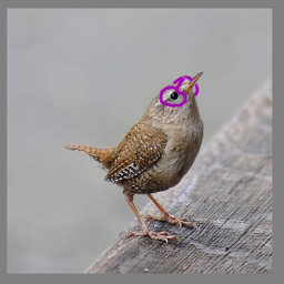 zig-(and-the-design-choices-within)