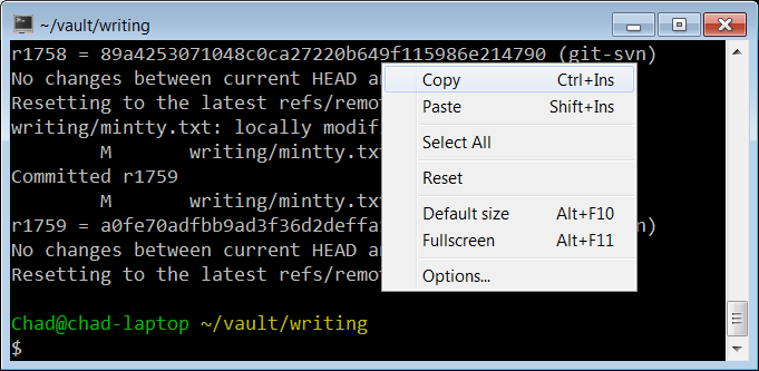 terminal-latency-on-windows