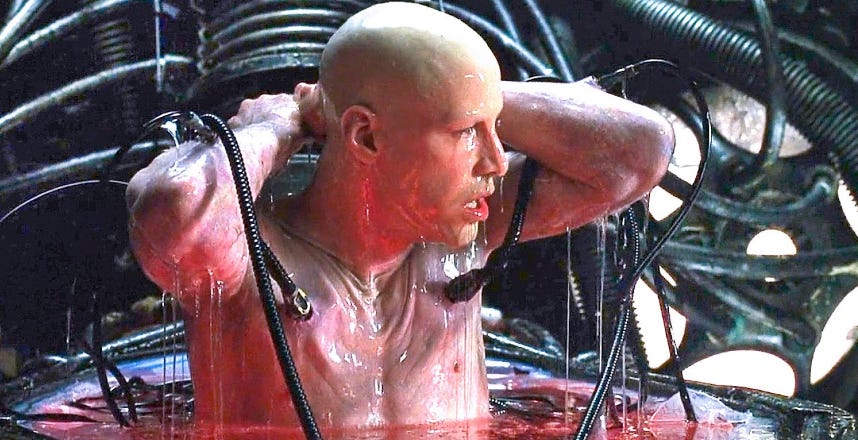 we-remain-alive-also-in-a-dead-internet