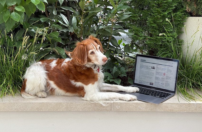 explaining,-at-some-length,-techmeme’s-20-years-of-consistency