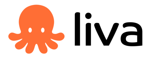 liva-ai-(yc-s25)-is-hiring