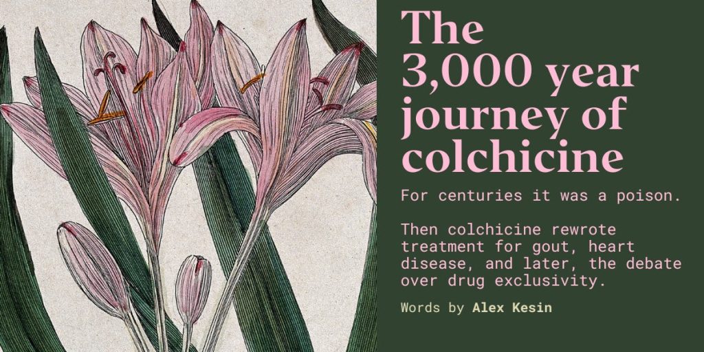 the-three-thousand-year-journey-of-colchicine