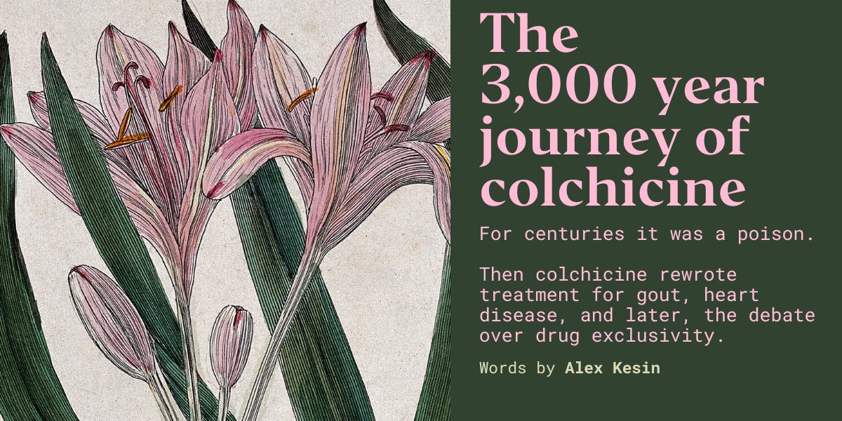 the-three-thousand-year-journey-of-colchicine