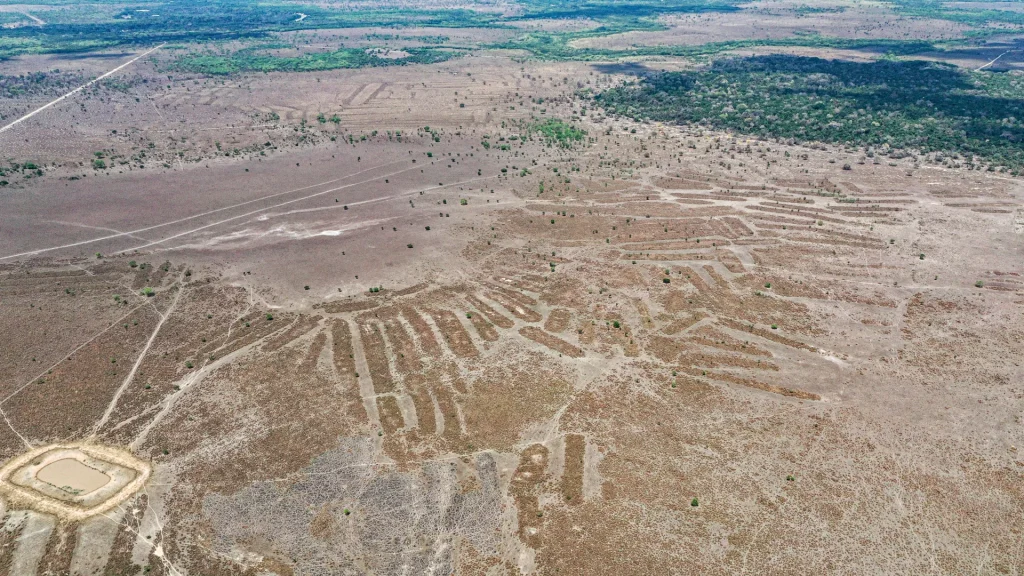 a-lost-amazon-world-just-reappeared-in-bolivia