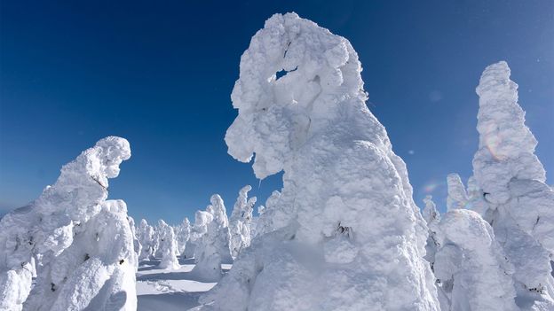 saving-japan’s-exceptionally-rare-‘snow-monsters’