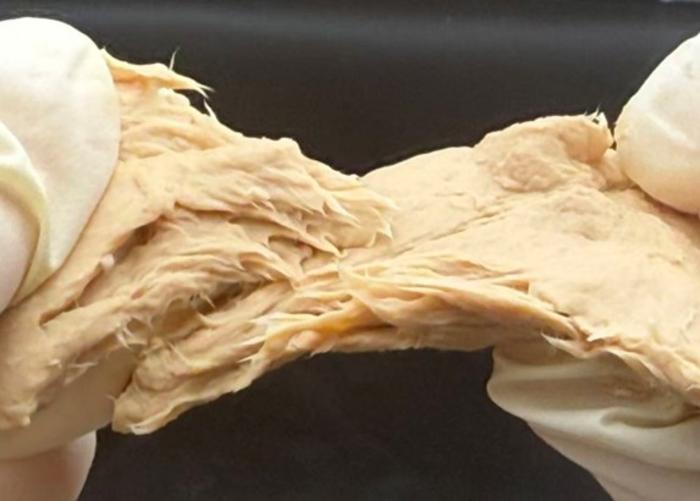 crispr-fungus:-protein-packed,-sustainable,-and-tastes-like-meat