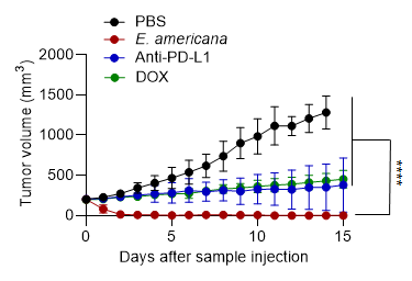 gut-bacteria-from-amphibians-and-reptiles-achieve-tumor-elimination-in-mice