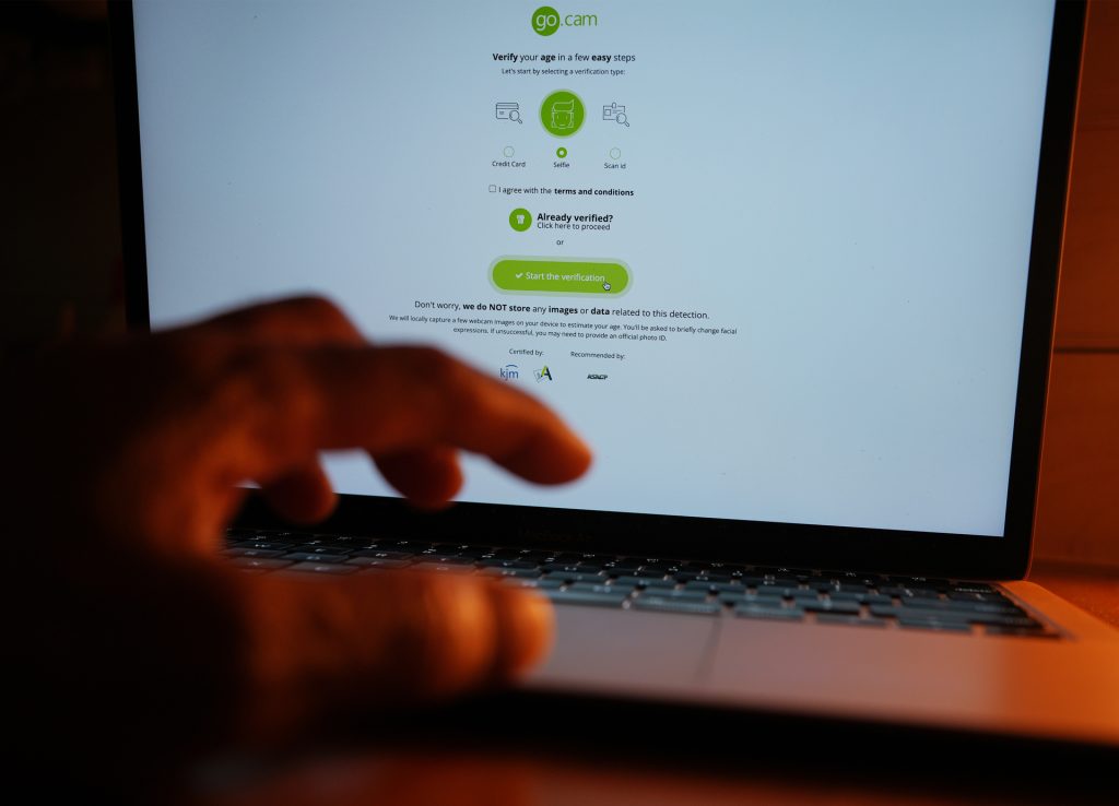 i-have-to-give-fortnite-my-passport-to-use-bluesky