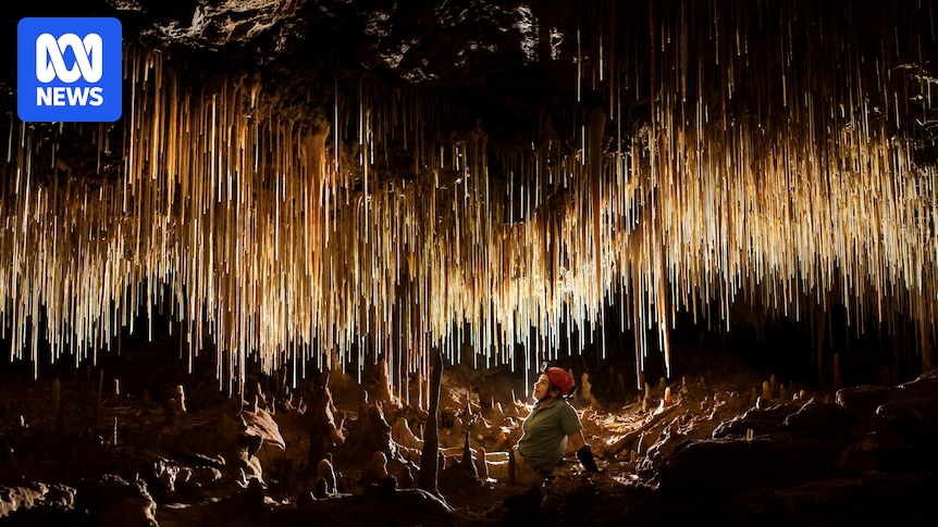from-devastation-to-wonder-as-kangaroo-island-bushfires-lead-to-cave-discoveries