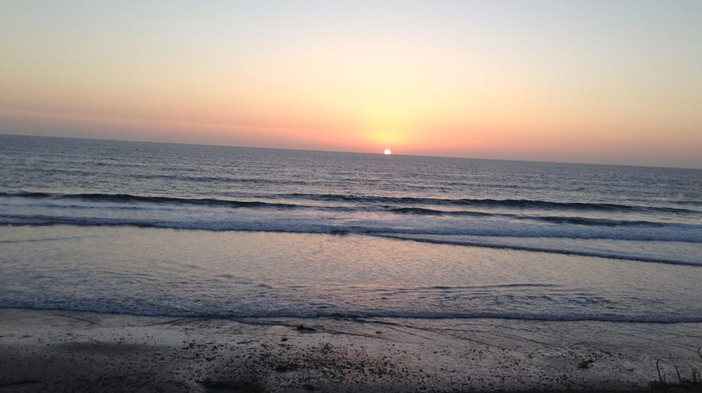 if-you-don’t-design-your-career,-someone-else-will