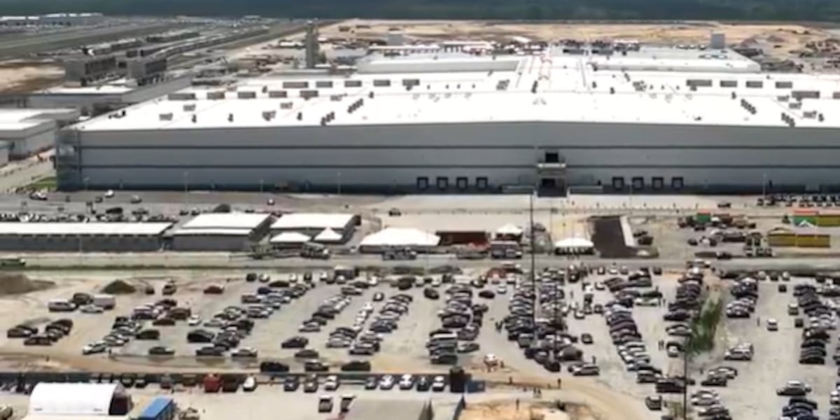 ceo-killed-at-industrial-site-by-worker-operating-forklift