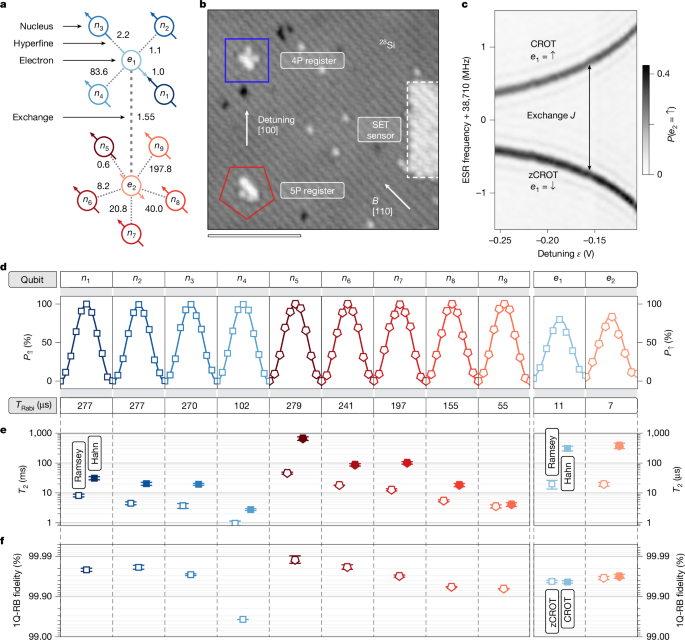 an-11-qubit-atom-processor-in-silicon-with-all-fidelities-from-9910%-to-99.99%