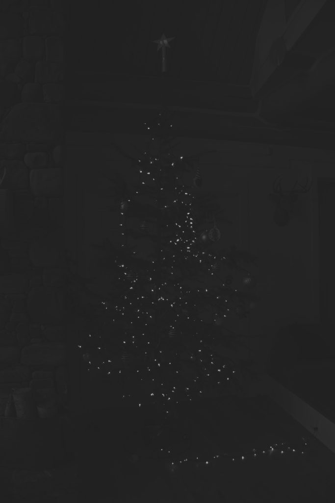 what-an-unprocessed-photo-looks-like