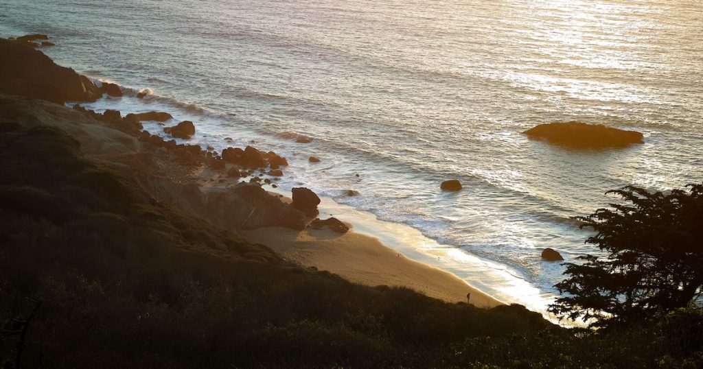 why-is-claude-an-electron-app?