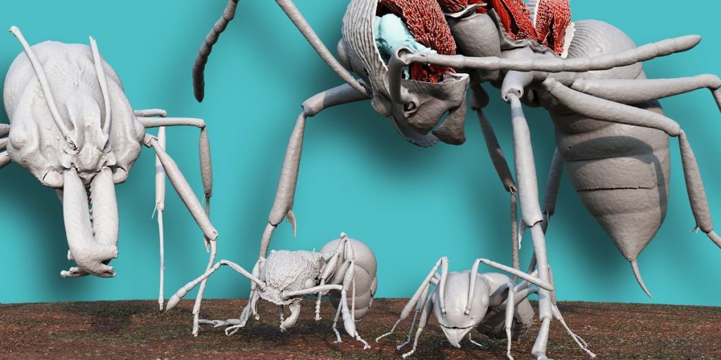 entomologists-use-a-particle-accelerator-to-image-ants-at-scale