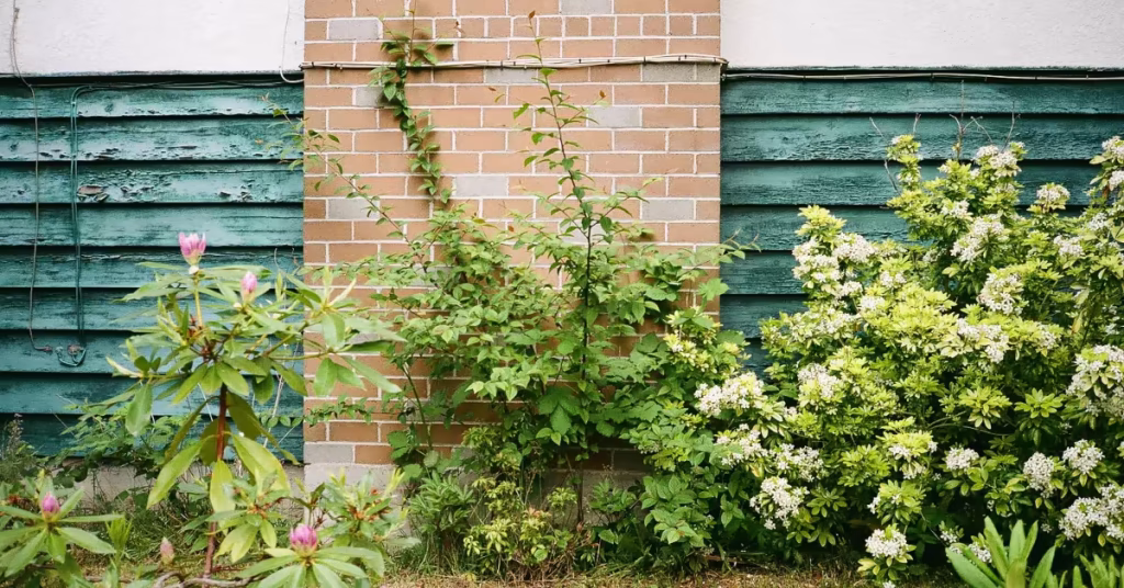 u+237c-⍼-is-azimuth