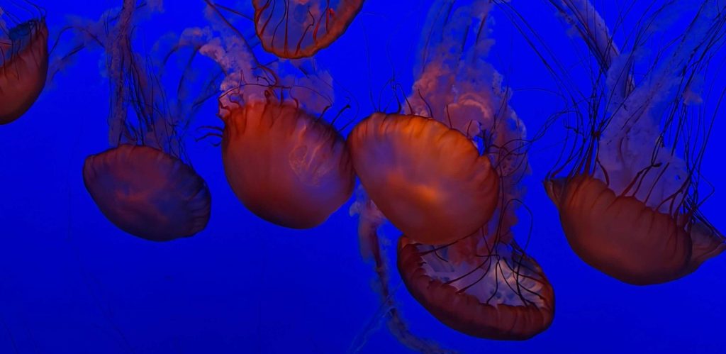 willingness-to-look-stupid