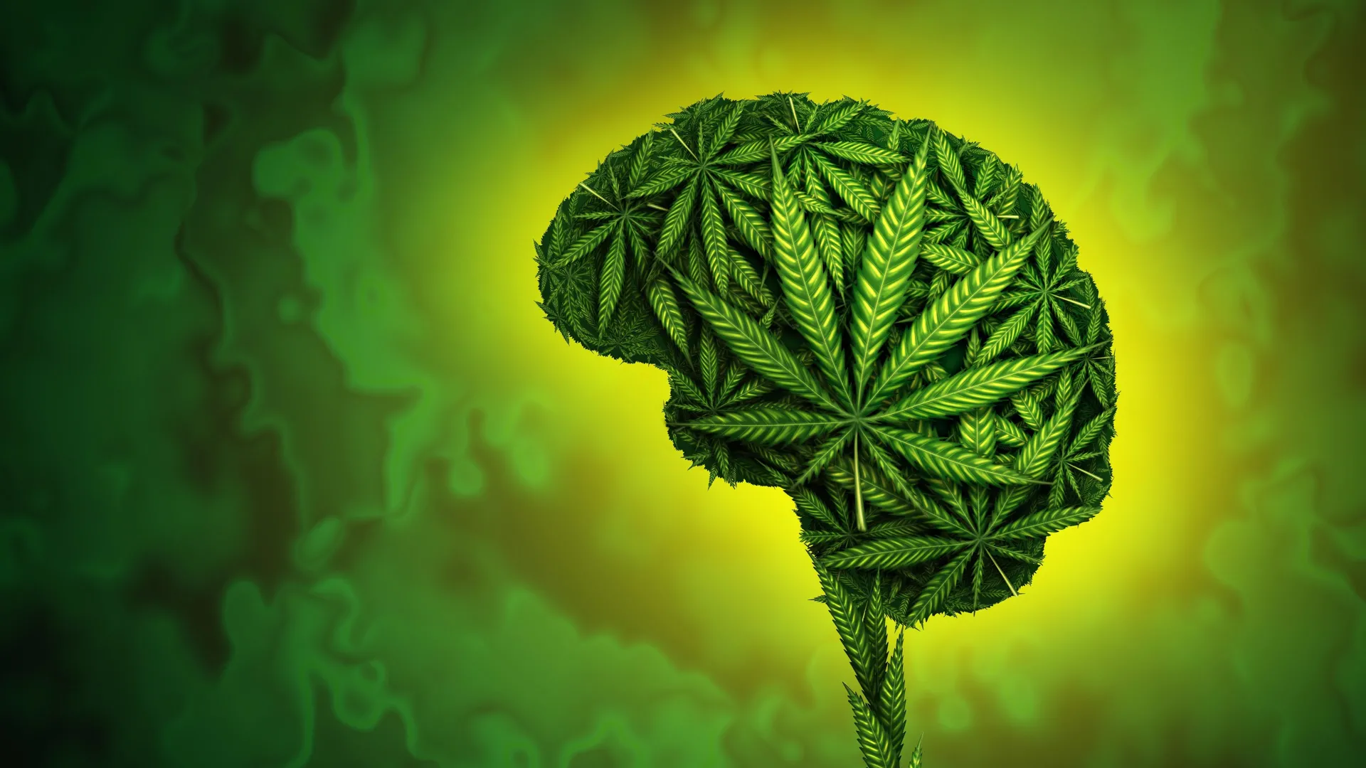no-evidence-cannabis-helps-anxiety,-depression,-or-ptsd
