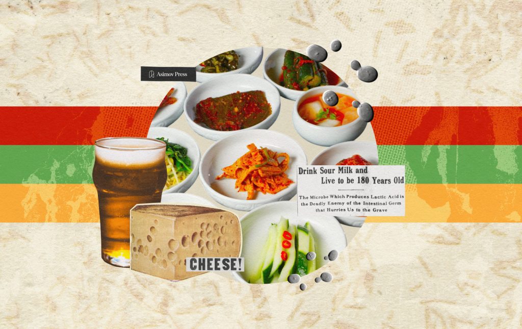 fermented-foods-shaped-human-biology