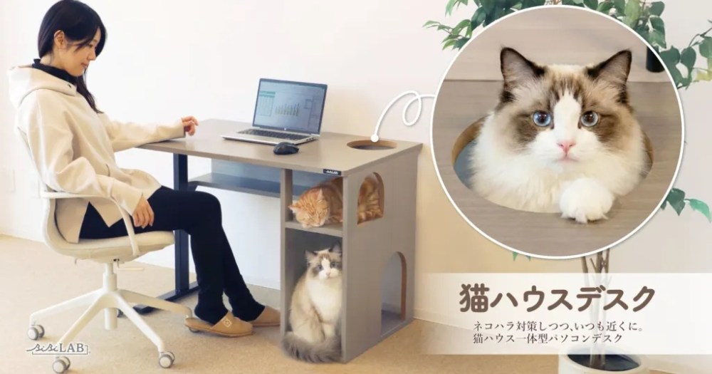 desk-for-people-who-work-at-home-with-a-cat