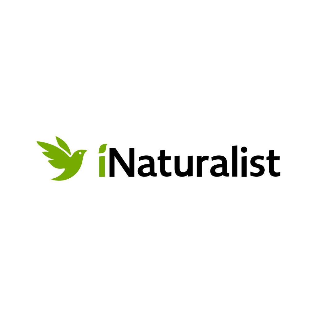 inaturalist