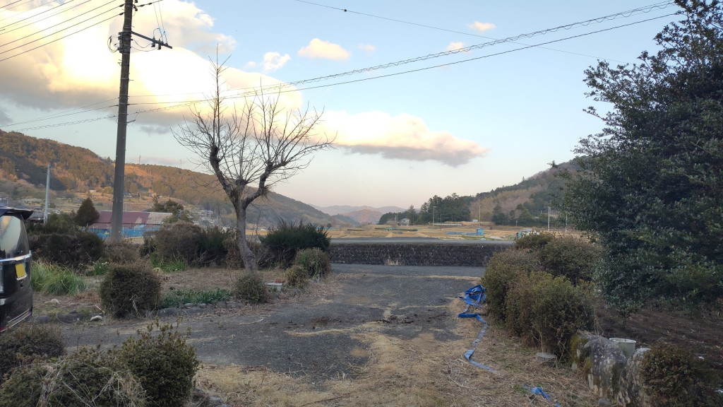 my-experience-as-a-rice-farmer