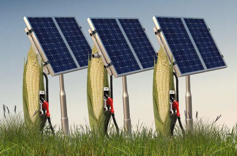 new-study-compares-growing-corn-for-energy-to-solar-production.-it’s-no-contest