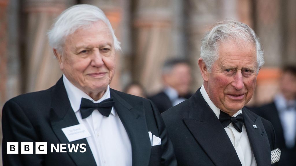 david-attenborough’s-100th-birthday