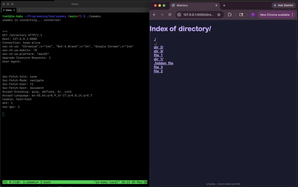show-hn:-building-a-web-server-in-assembly-to-give-my-life-(a-lack-of)-meaning