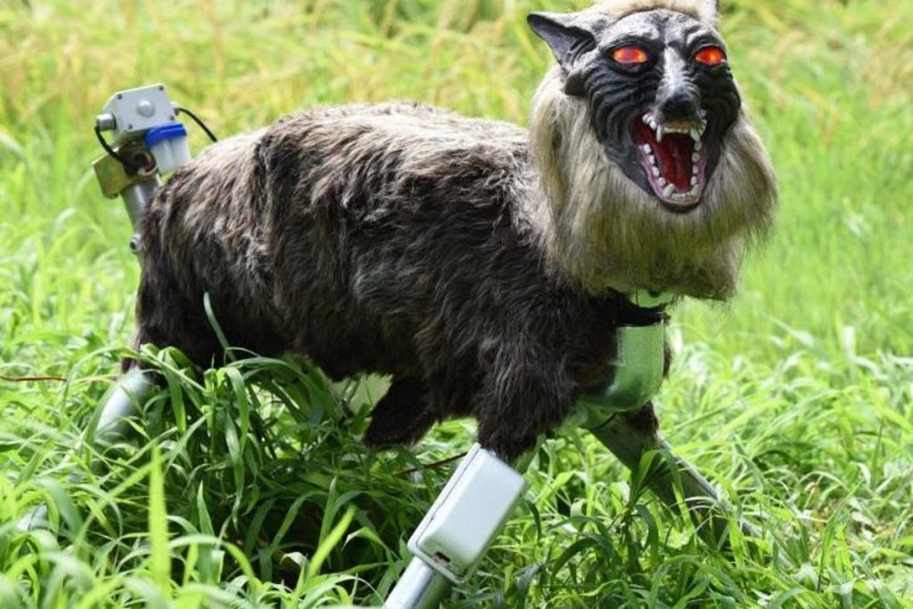 japan’s-robot-wolf-sells-out-as-record-bear-attacks-drive-demand