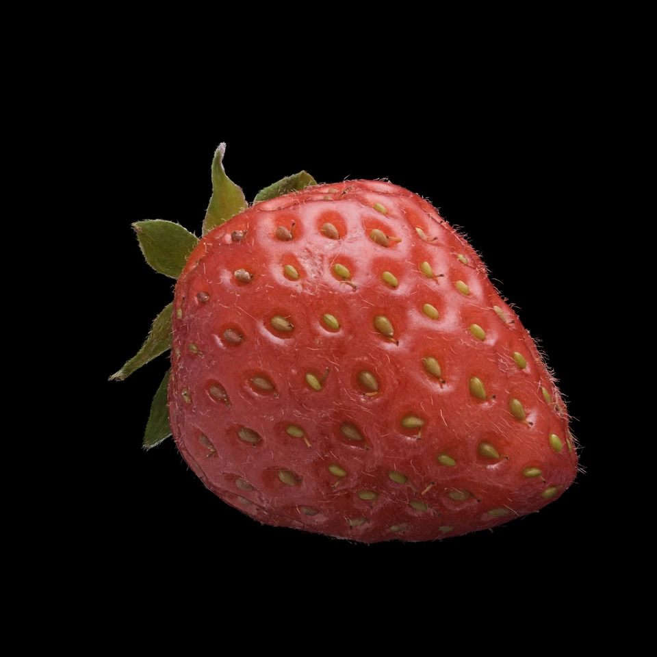 gaussian-splat-of-a-strawberry