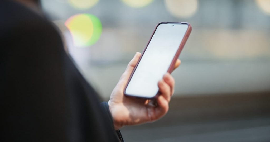 netherlands-blocks-us-takeover-of-vital-digital-supplier