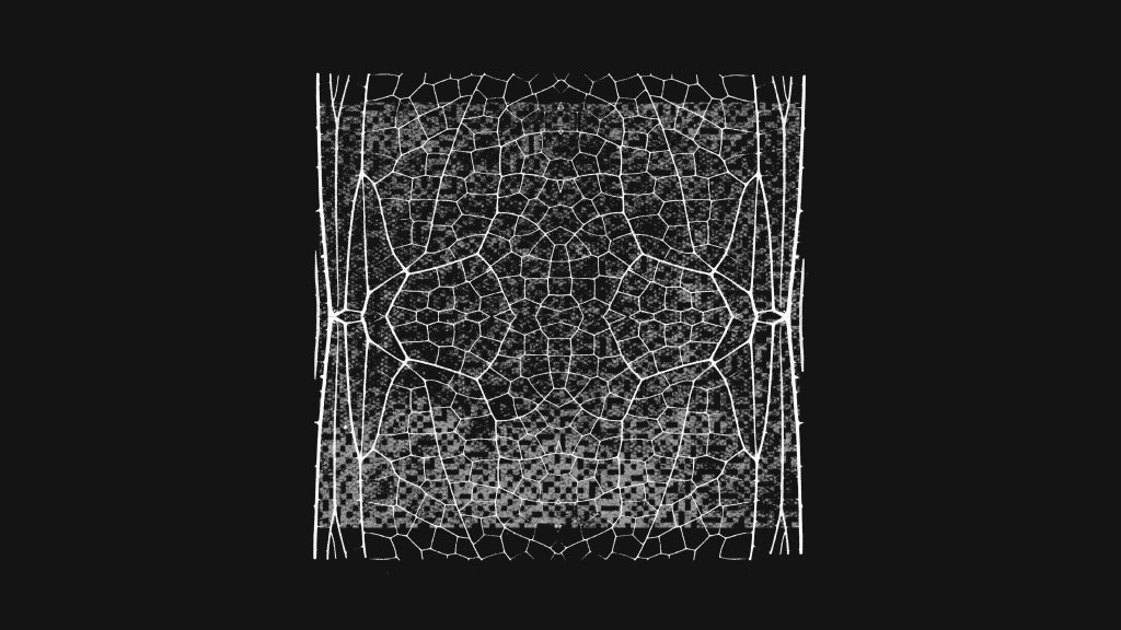 expanding-project-glasswing
