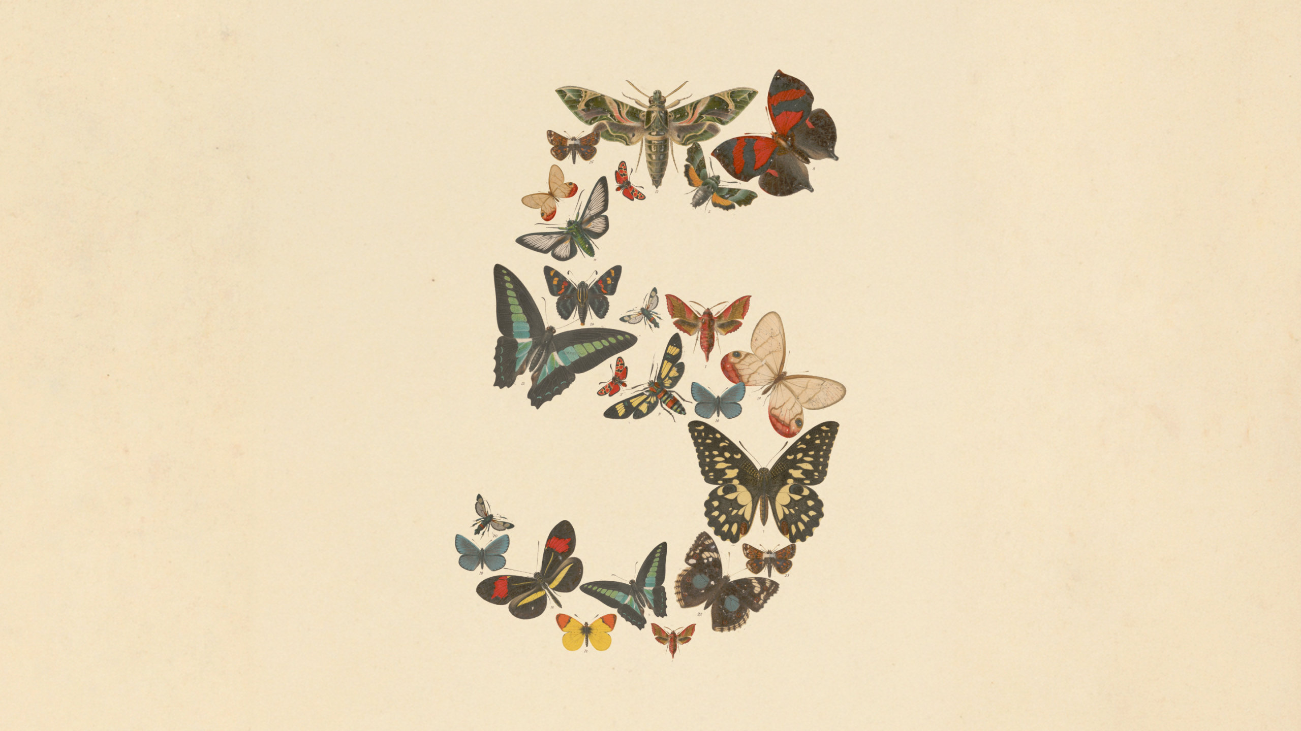 claude-fable-5