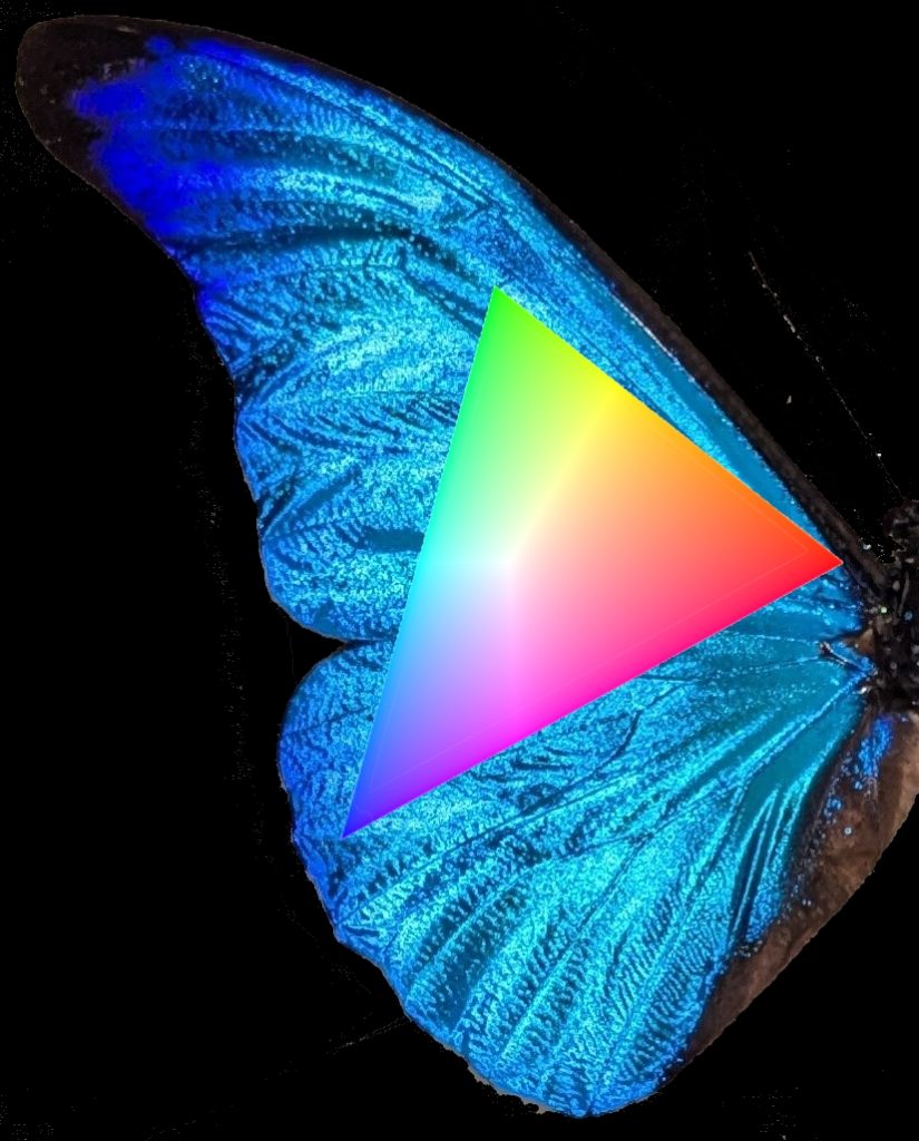 where-to-find-the-colors-your-screen-can’t-show-you