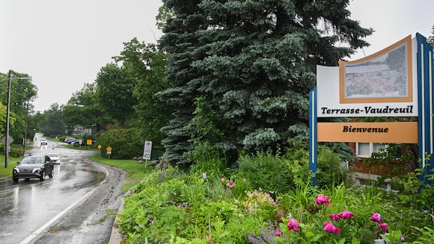 quebec-town-recognizes-trees-as-living-beings-with-rights