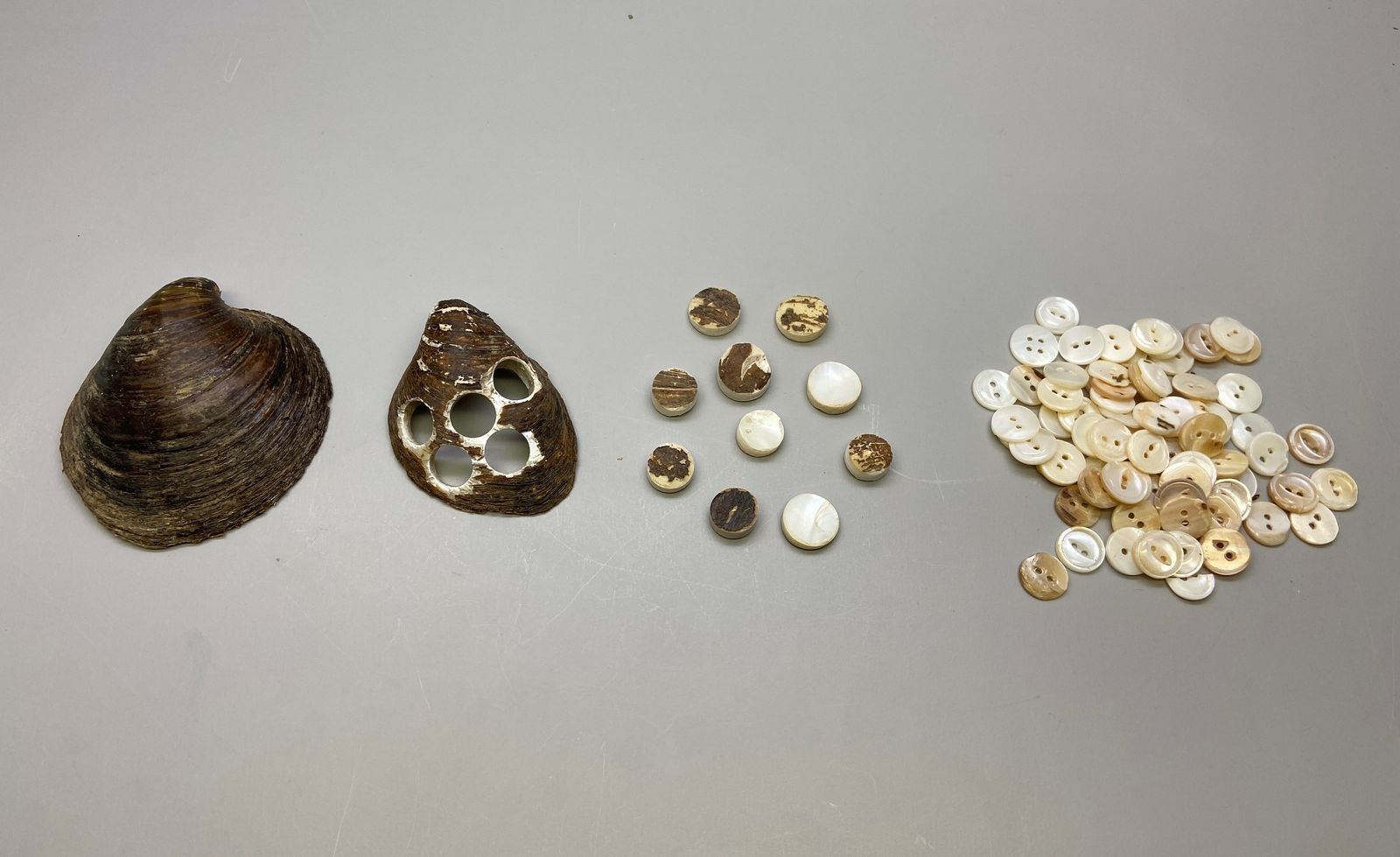 german-button-maker-searched-rivers-of-american-midwest-for-valuable-shells