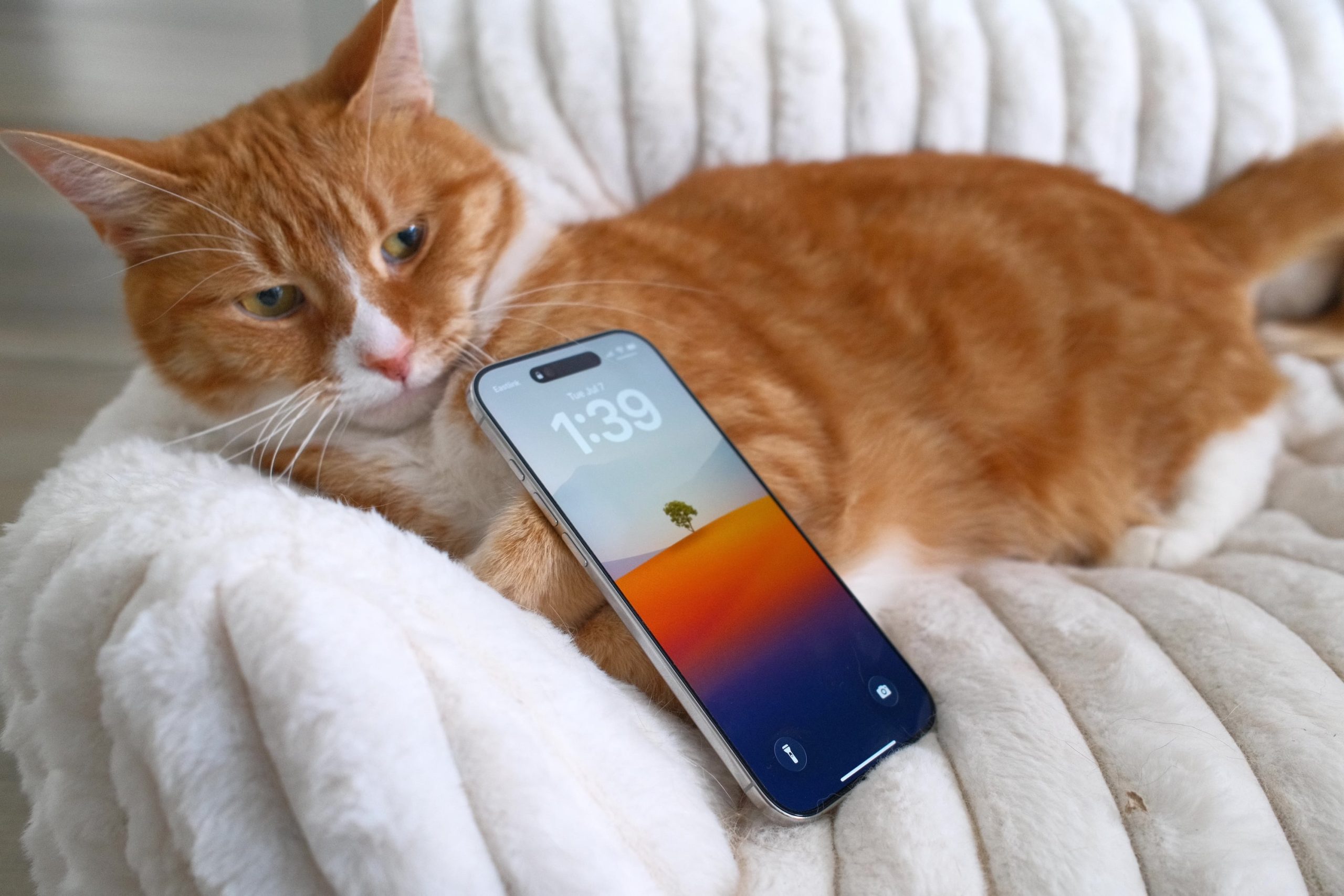i-have-thoughts-on-the-iphone-air