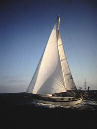confessions-of-a-long-distance-sailor