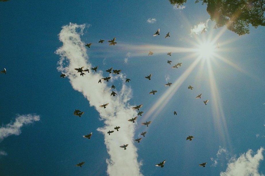 flock-updates-privacy,-accountability,-security,-and-transparency-safeguards