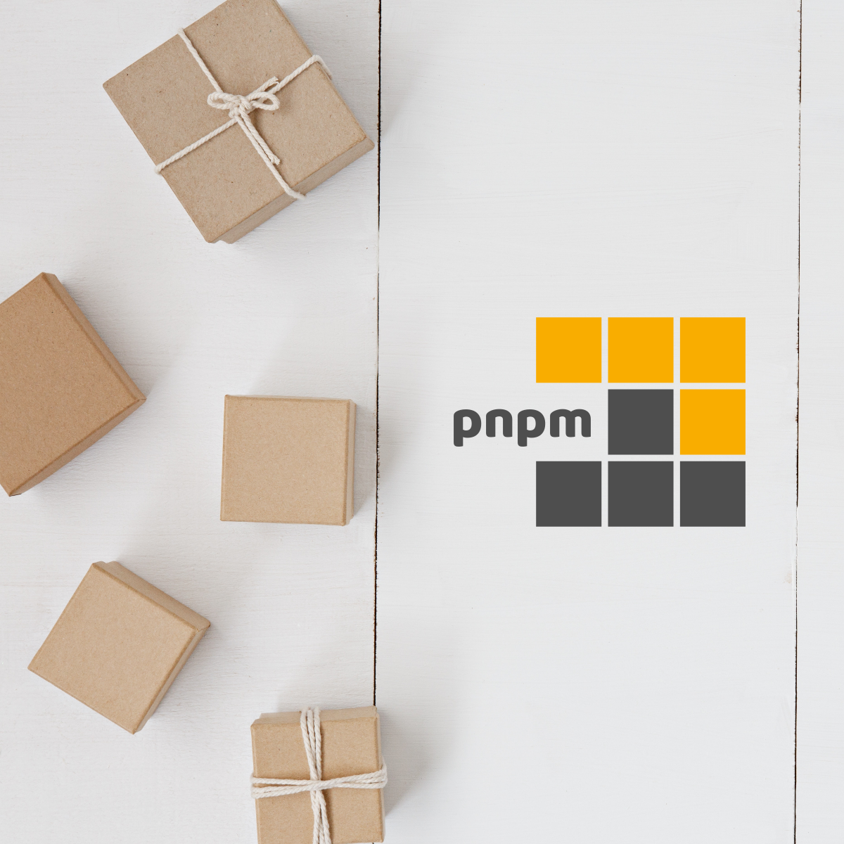 pnpm-12.0
