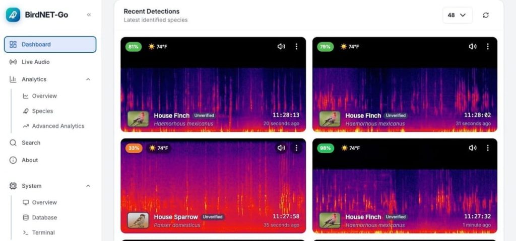i-turned-my-security-cameras-into-an-automatic-bird-identification-system