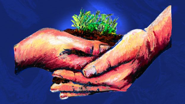 why-getting-your-hands-dirty-is-good-for-you