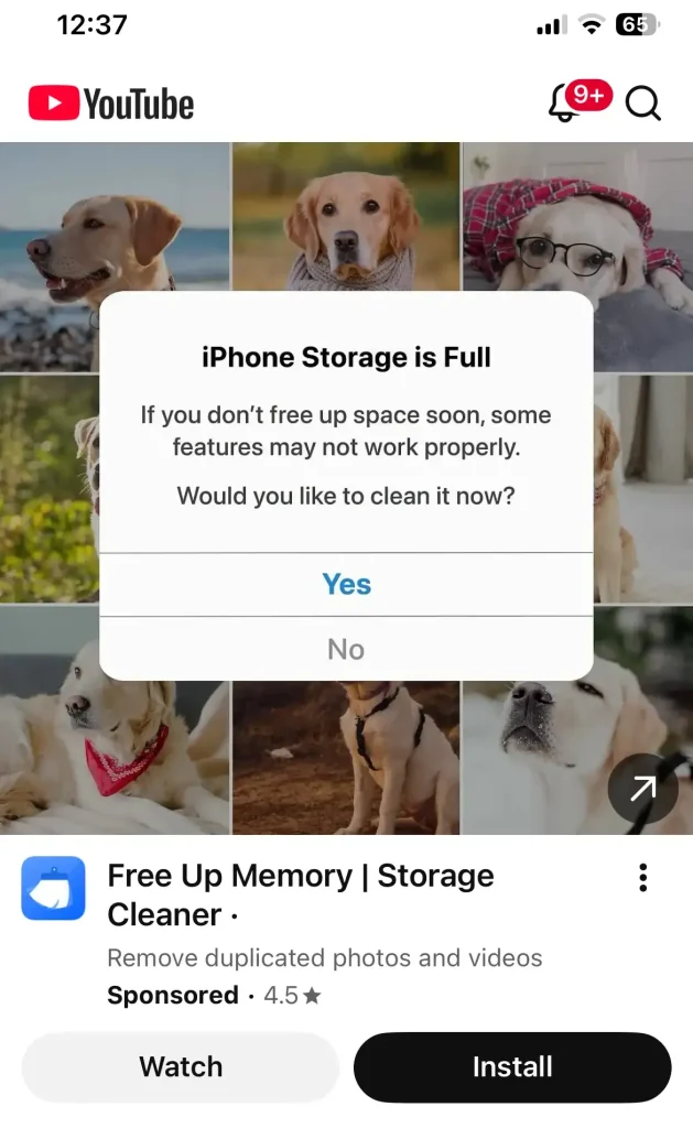 why-is-google-still-serving-dodgy-ads?