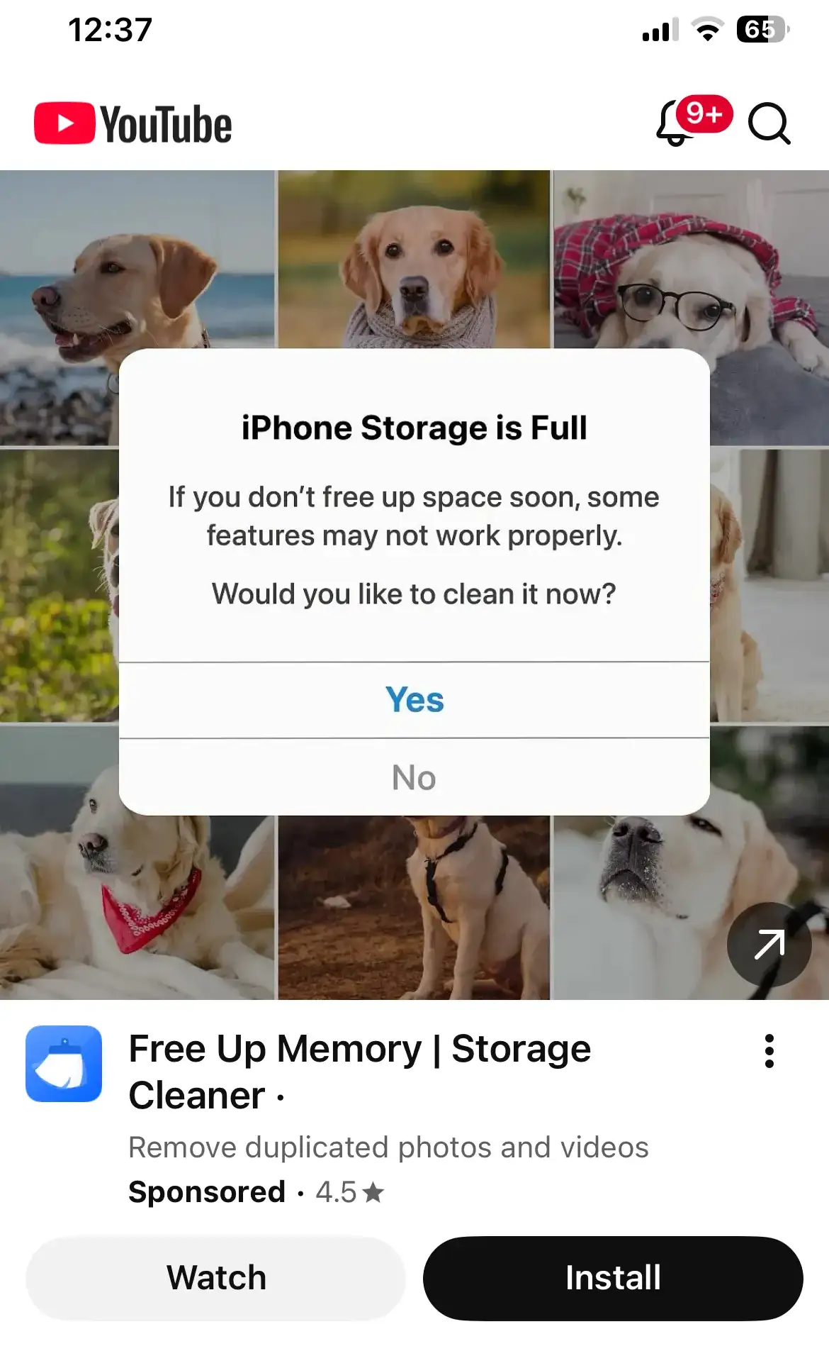 why-is-google-still-serving-dodgy-ads?