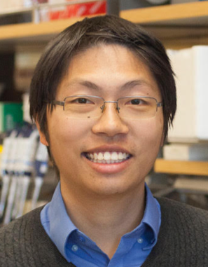 human-brain-is-two-separate-organs,-stanford-medicine-led-research-finds
