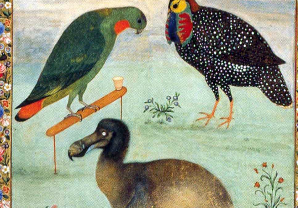 using-opus-5.5-to-discover-a-new-eyewitness-record-of-the-dodo