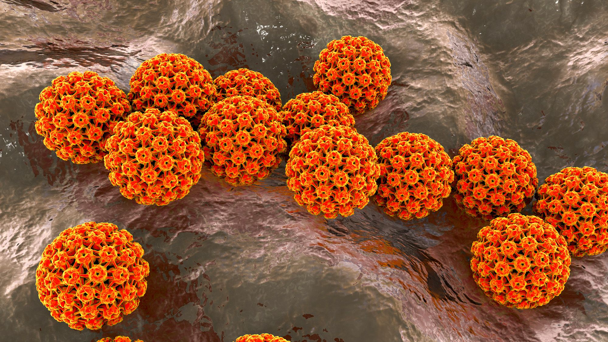 1-in-8-cancer-cases-are-caused-by-infections